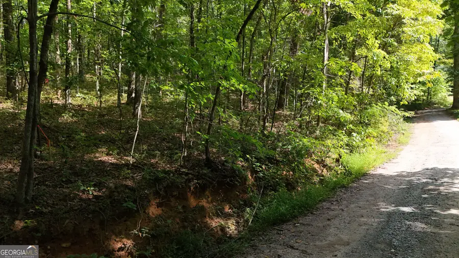 LOT 184 Hillside Drive, Clarkesville, GA 30523 - #2