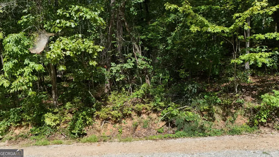 LOT 184 Hillside Drive, Clarkesville, GA 30523 - #3