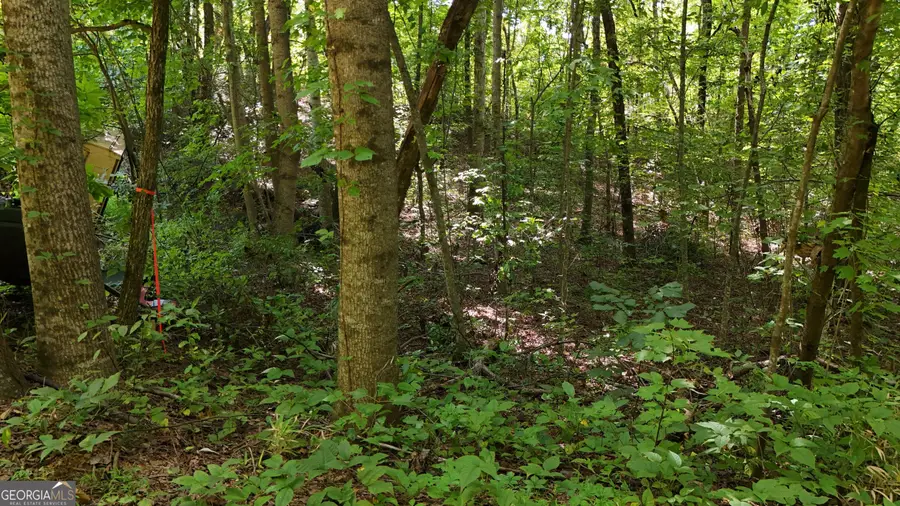 LOT 195 Fern Valley Trail, Clarkesville, GA 30523 - #2