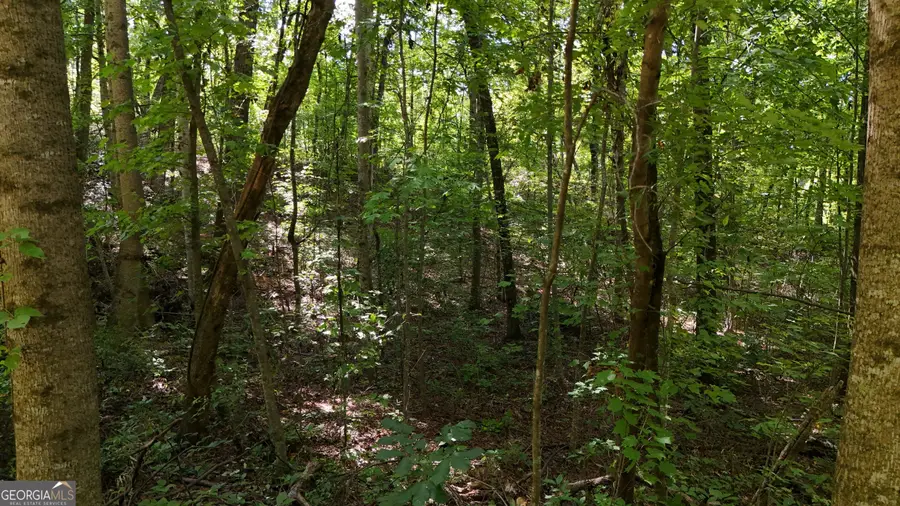 LOT 195 Fern Valley Trail, Clarkesville, GA 30523 - #3