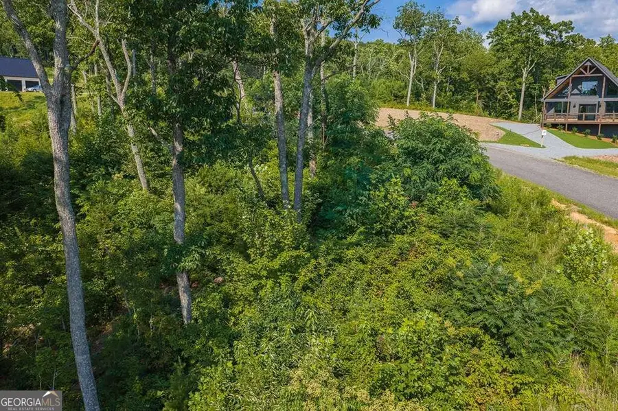 LOT 93 Timberline Trail #93, Talking Rock, GA 30175 - #2