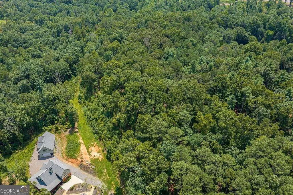 LOT 166 Pinnacle Drive #166, Ellijay, GA 30540 - #1