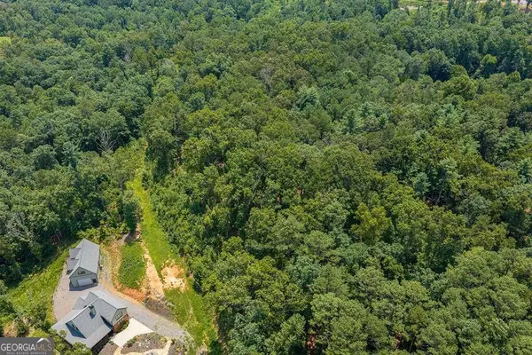 LOT 166 Pinnacle Drive #166, Ellijay, GA 30540
