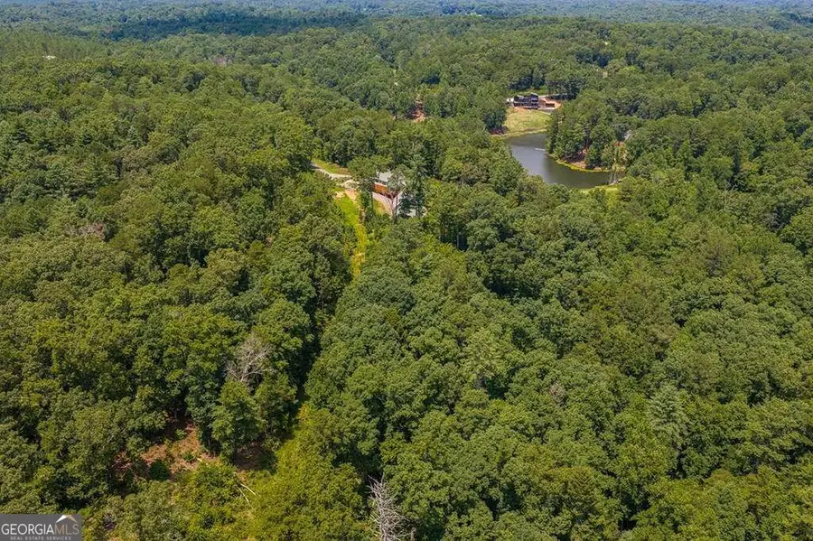 LOT 166 Pinnacle Drive #166, Ellijay, GA 30540 - #3