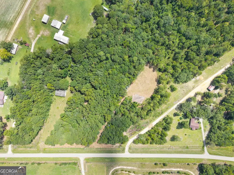 00 Buck Creek Road, Sylvania, GA 30467 - #2