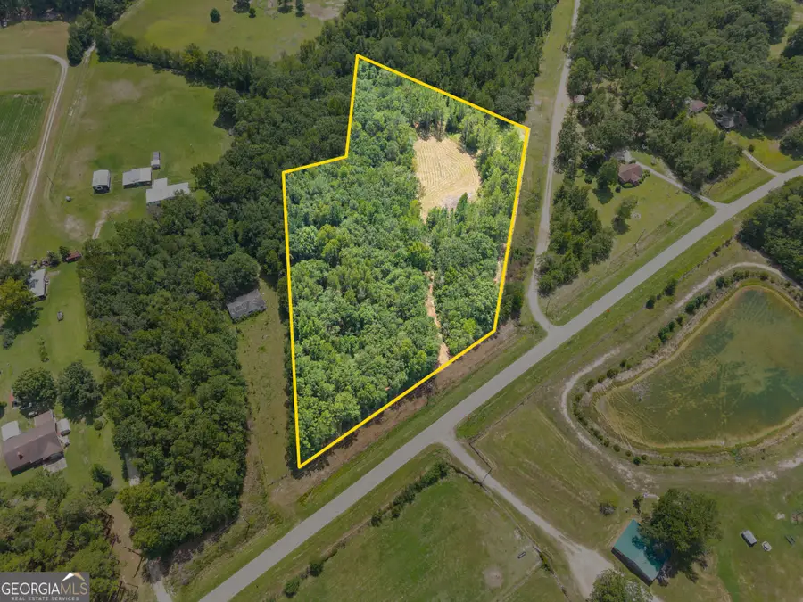 00 Buck Creek Road, Sylvania, GA 30467 - #3