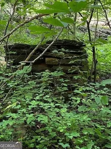 00 Seven Springs, Jasper, GA 30143 - #3