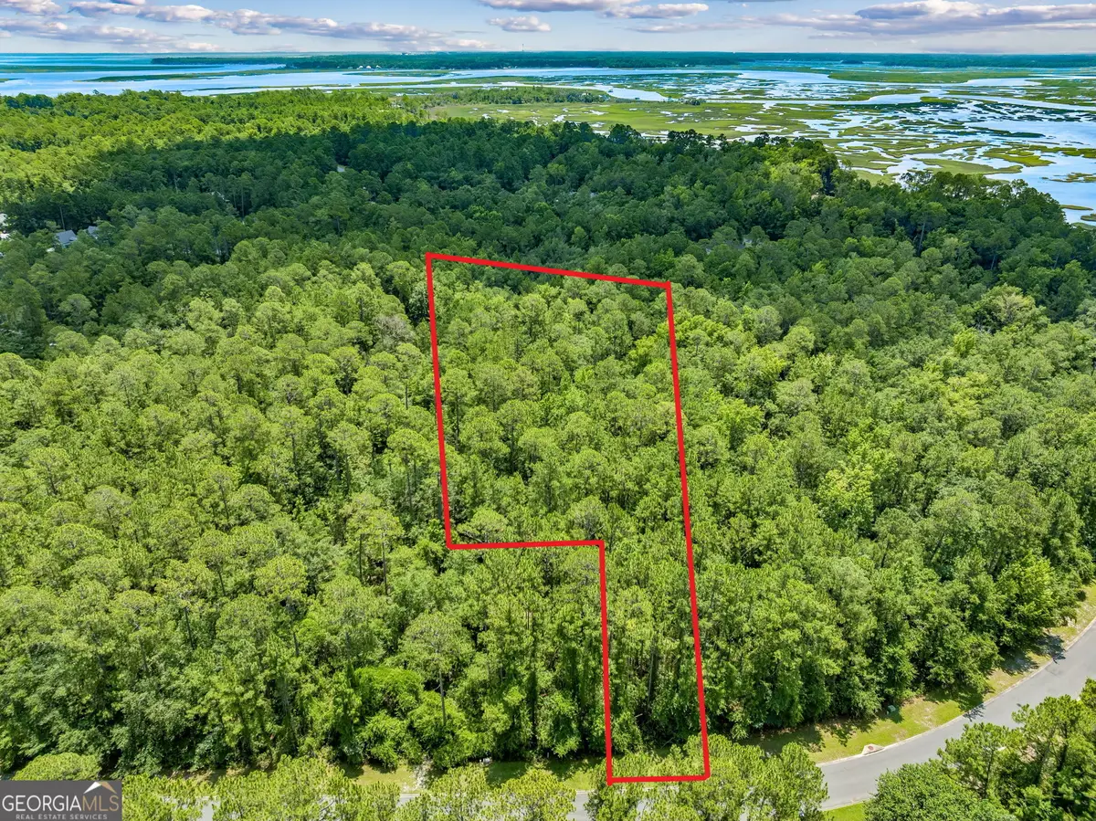 V/L 18 Lighthouse Circle, Woodbine, GA 31569 - #1
