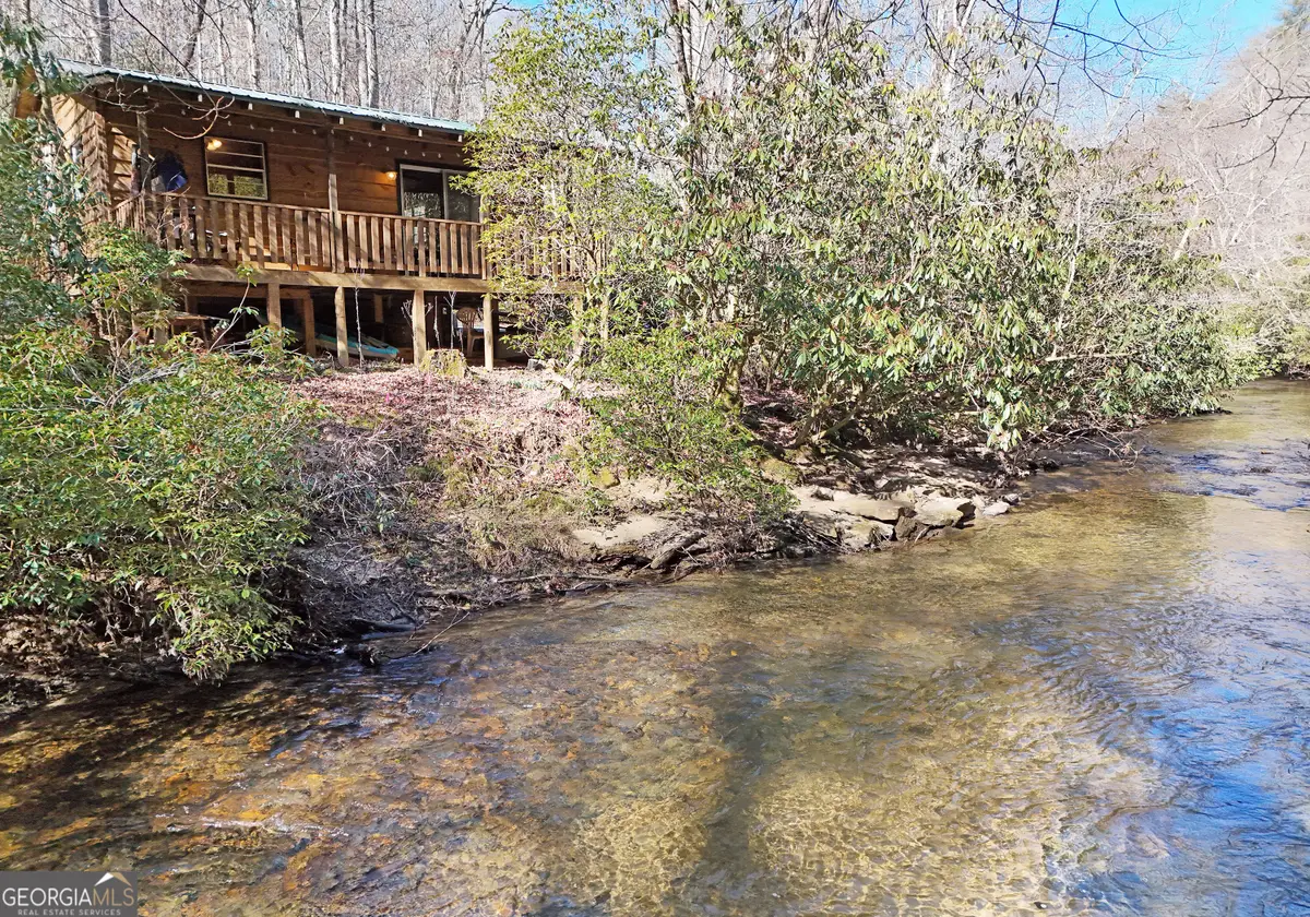 150 Donna Lee Lane, Mineral Bluff, GA 30559 - #1