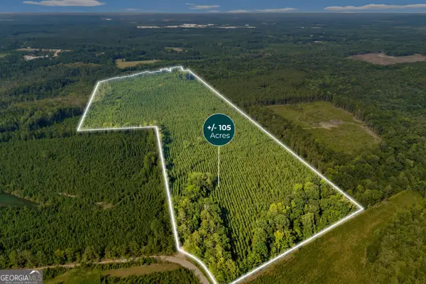 MERCER TRACT New Hopewell Church Road, Jeffersonville, GA 31044