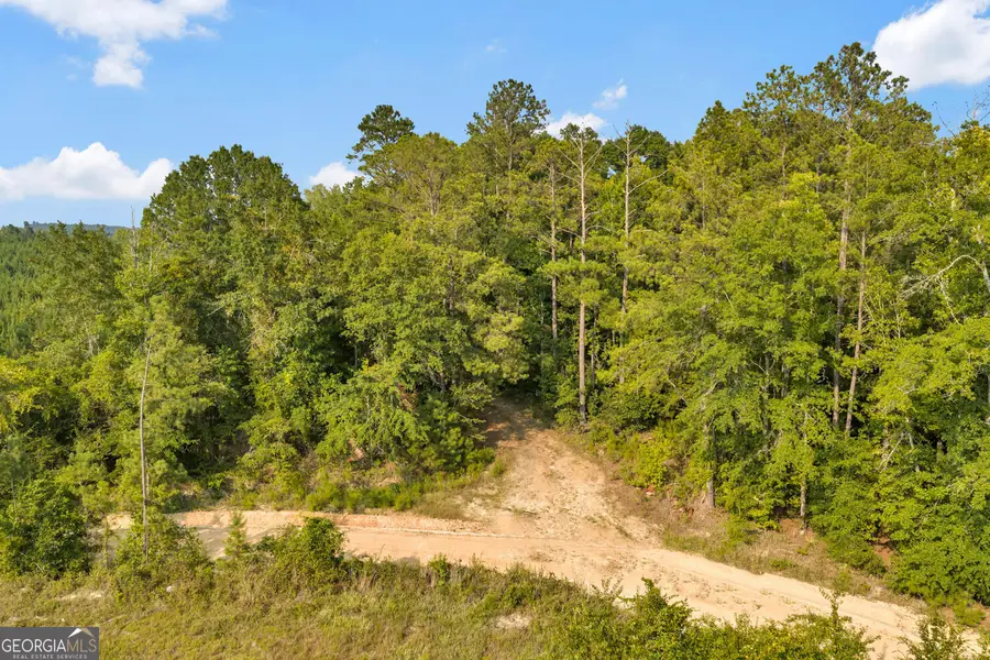 MERCER TRACT New Hopewell Church Road, Jeffersonville, GA 31044 - #2