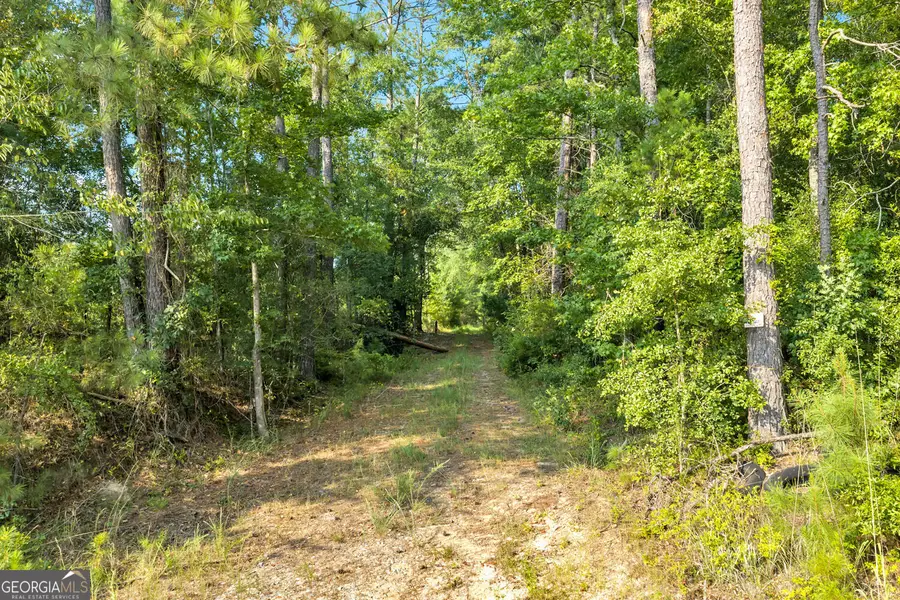 MERCER TRACT New Hopewell Church Road, Jeffersonville, GA 31044 - #3