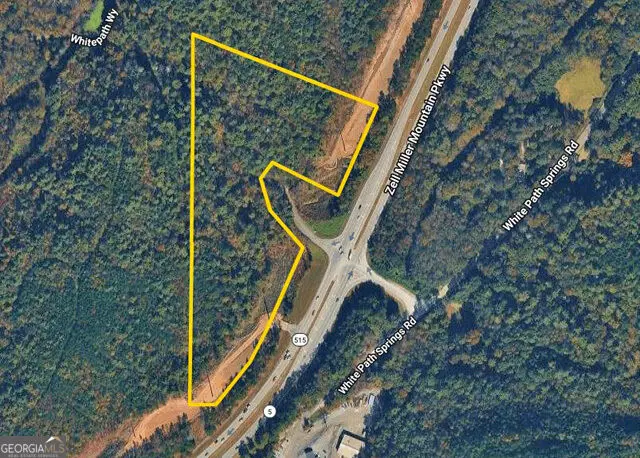 17AC Hwy. 515, Ellijay, GA 30540 - #2