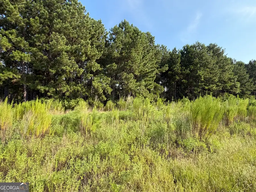 0 Highway 296, Stapleton, GA 30823 - #2