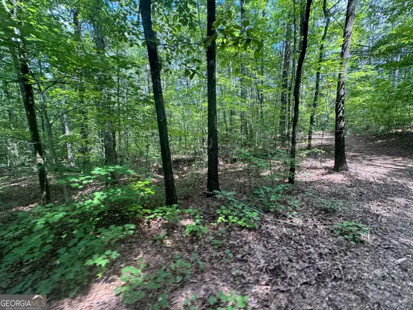 2996 Stokes Store Road, Forsyth, GA 31029