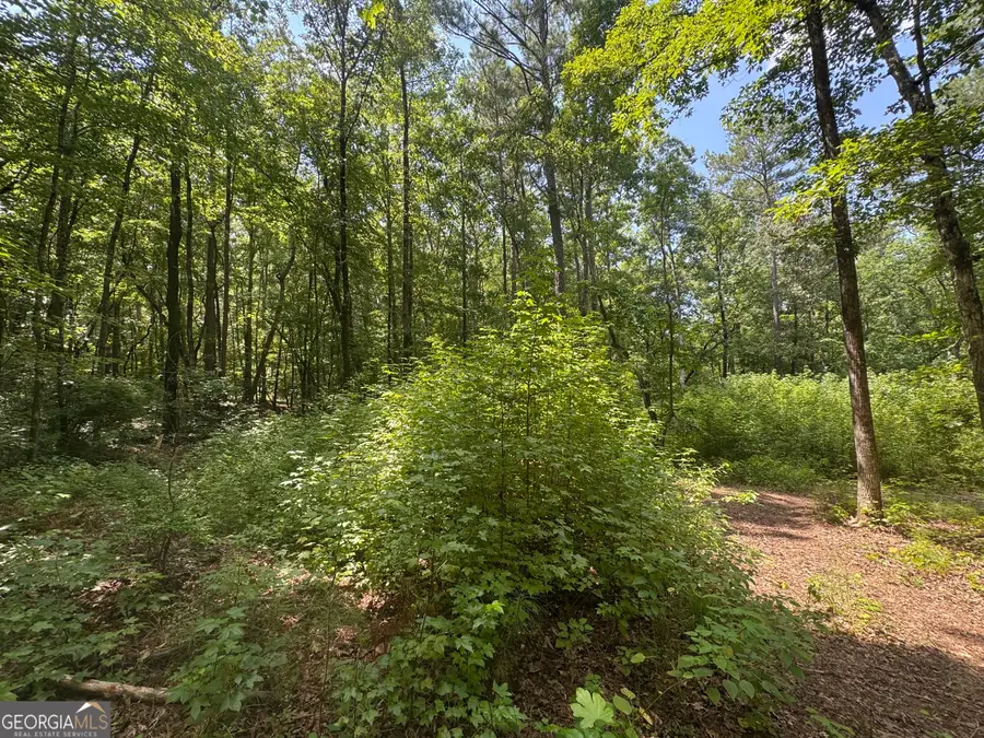 2996 Stokes Store Road, Forsyth, GA 31029 - #2