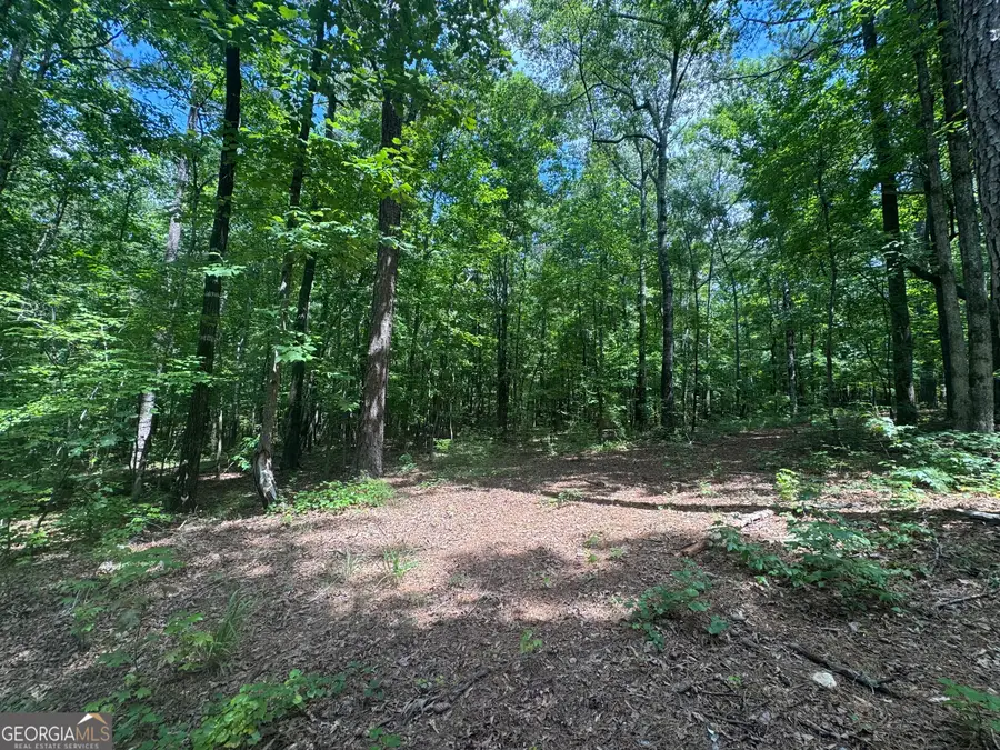 2996 Stokes Store Road, Forsyth, GA 31029 - #3