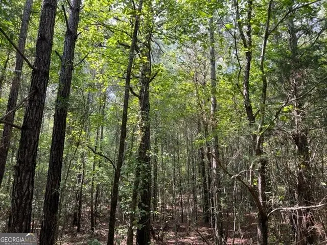 0 Lipham Road, Franklin, GA 30217 - #1