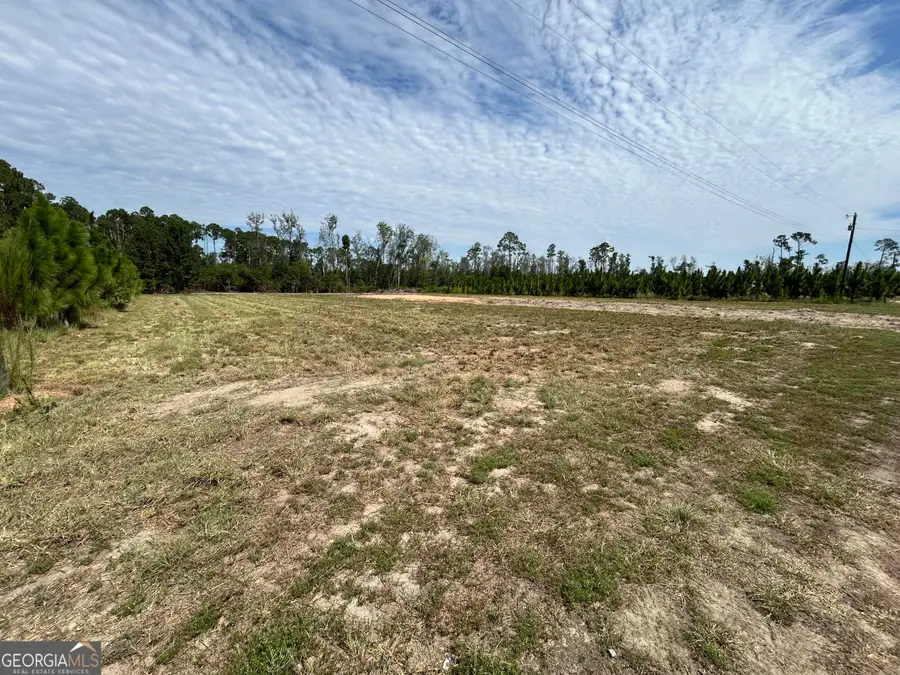 2096 Sellers Road Nw, Baxley, GA 31513 - #3