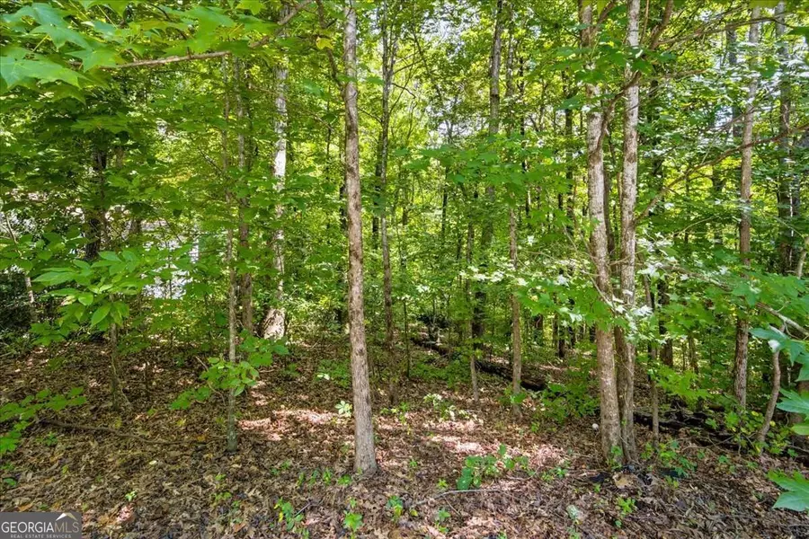 194 Gina Drive, Carrollton, GA 30116 - #2