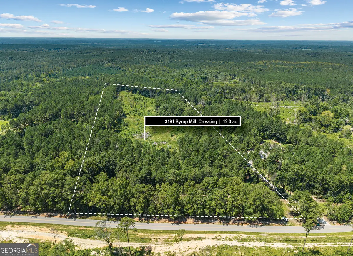 3191 Syrup Mill Crossing, Greensboro, GA 30642 - #1