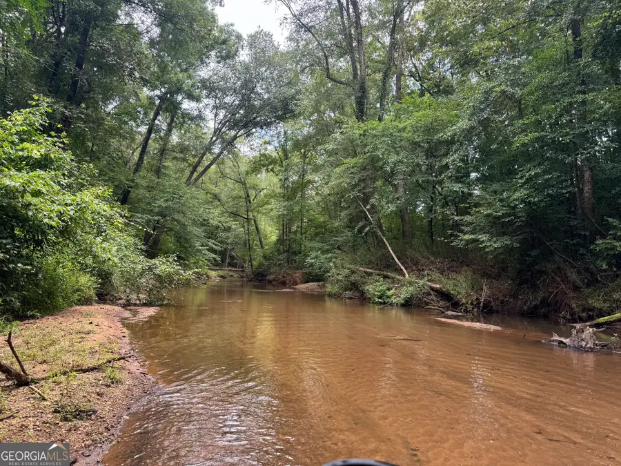 180.14 AC Johnson Mill Road, Hamilton, GA 31811 - #2