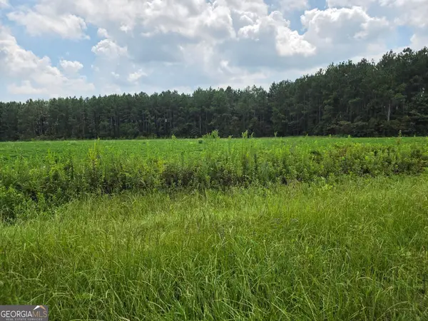 0 Roy And Blanche Hulett Road #7, Fitzgerald, GA 31750