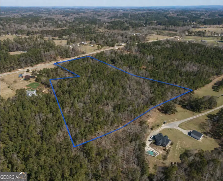 0 Lee Thompson Road, Moreland, GA 30259 - #2