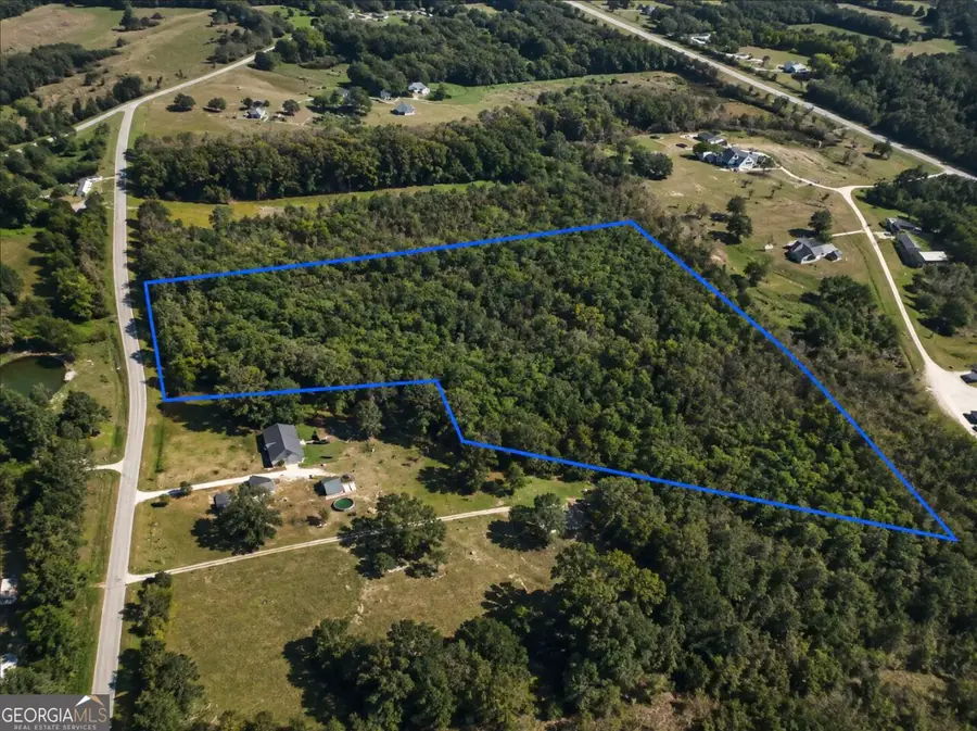0 Lee Thompson Road, Moreland, GA 30259 - #3