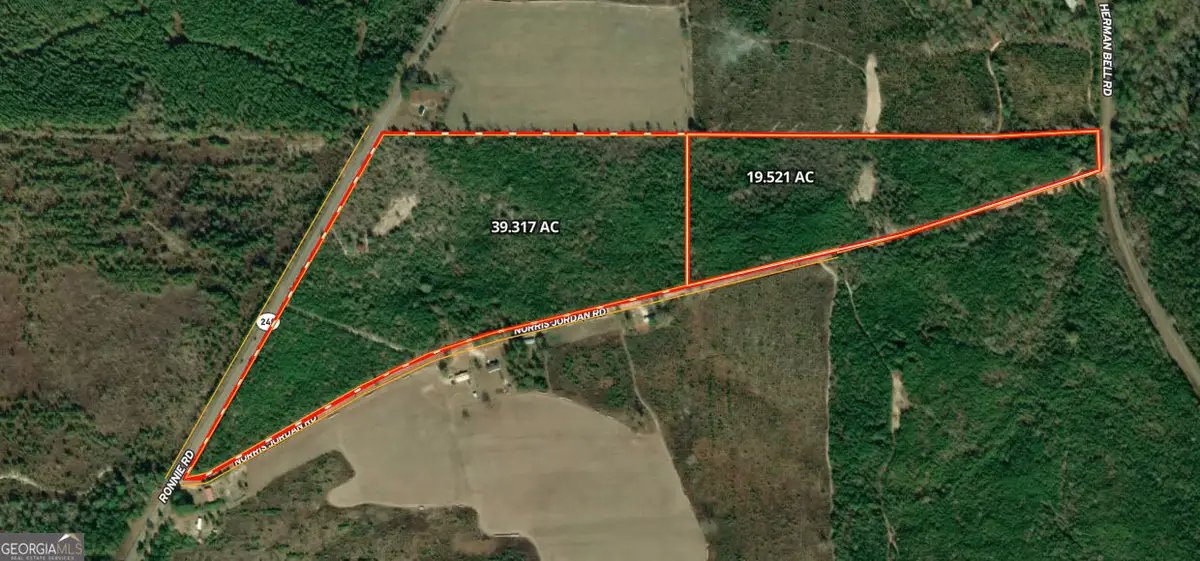 39.317 Ronnie Road, Buena Vista, GA 31803 - #1