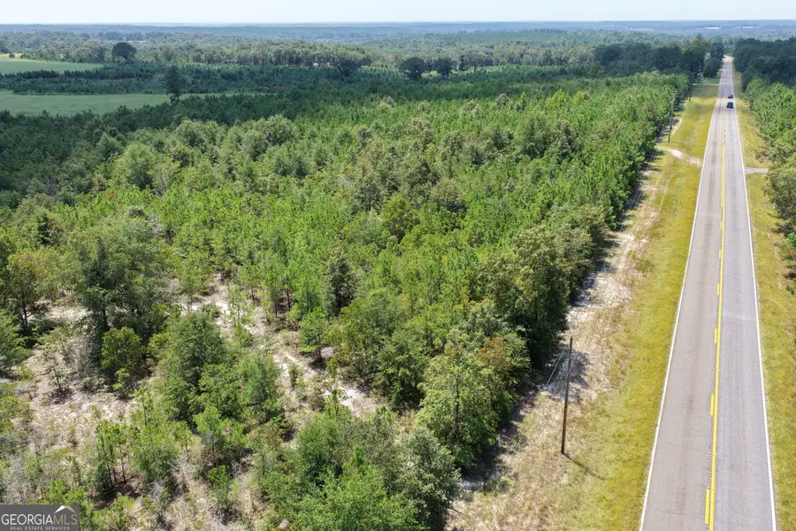 39.317 Ronnie Road, Buena Vista, GA 31803 - #2