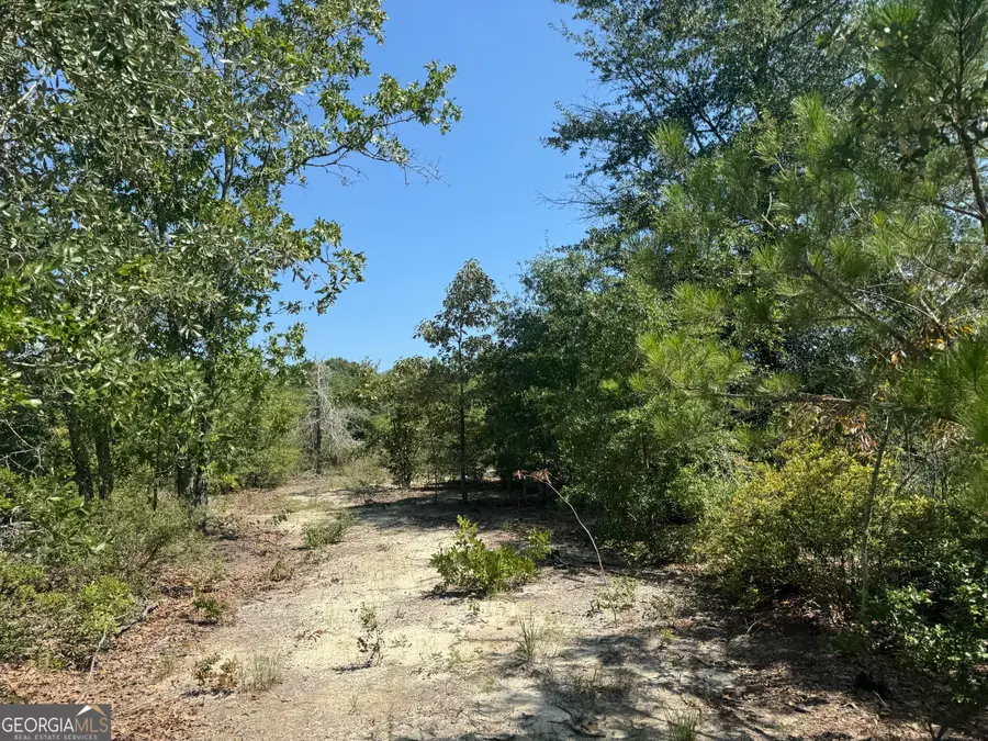 39.317 Ronnie Road, Buena Vista, GA 31803 - #3
