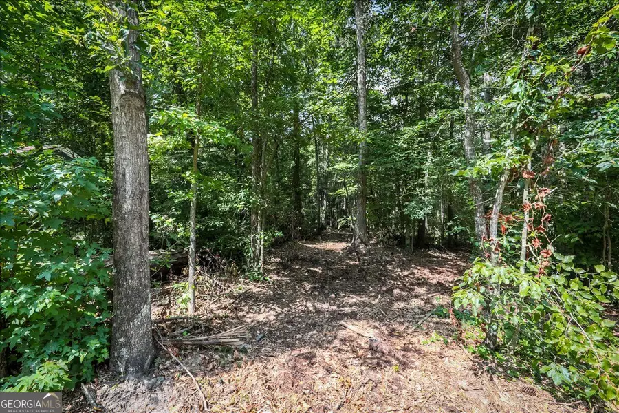 3132 Macedonia Road, Powder Springs, GA 30127 - #2
