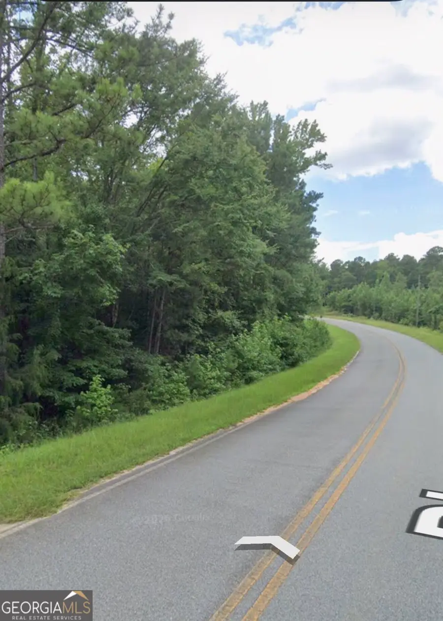 0 Dixon Road, Roberta, GA 31078 - #3