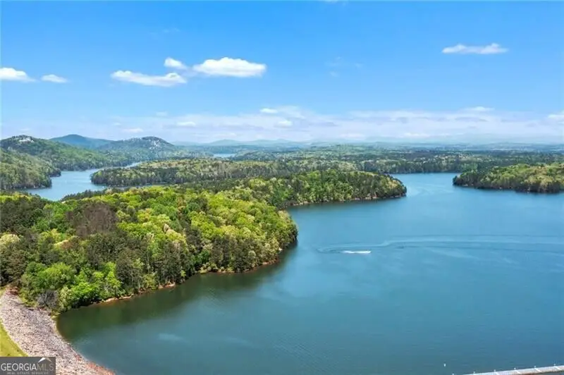 24 Allatoona Landing Cabin #7, Cartersville, GA 30121 - #2