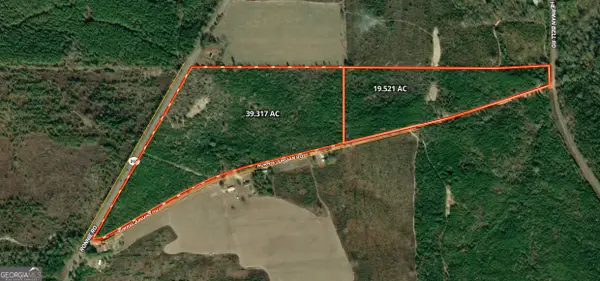 19.521 AC Herman Bell Road, Mauk, GA 31058