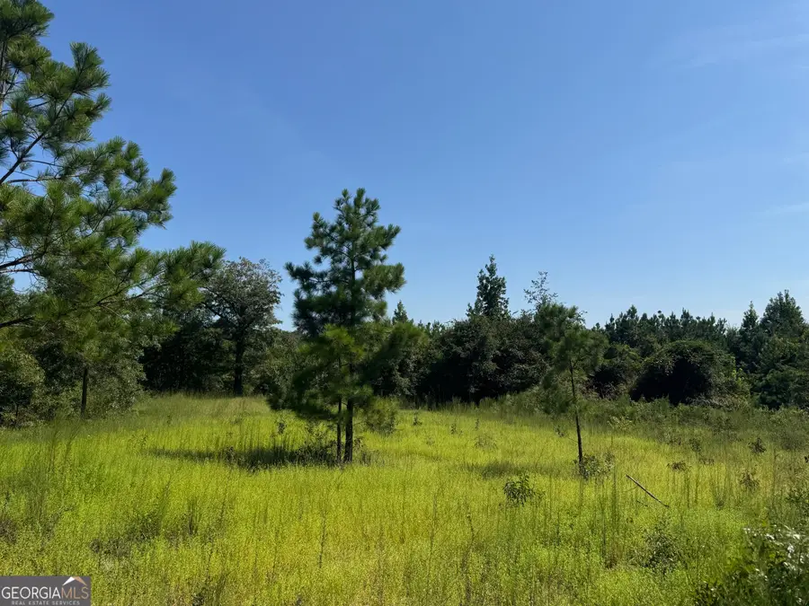 19.521 AC Herman Bell Road, Mauk, GA 31058 - #2