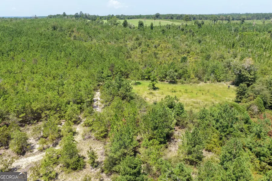 19.521 AC Herman Bell Road, Mauk, GA 31058 - #3