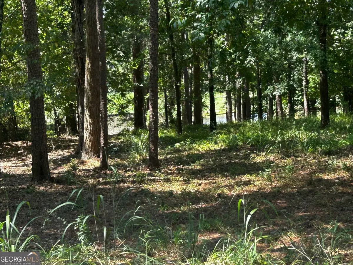 1191 Lakeview Court, Greensboro, GA 30642 - #1