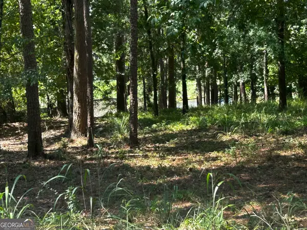 1191 Lakeview Court, Greensboro, GA 30642