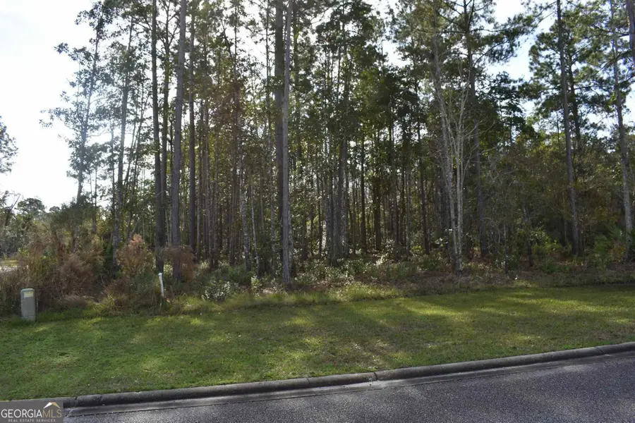104 Baiter Court, Saint Marys, GA 31558 - #2