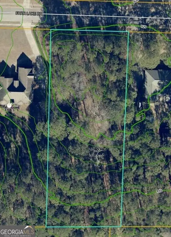 195 Farr Lake Drive, Tyrone, GA 30290 - #2