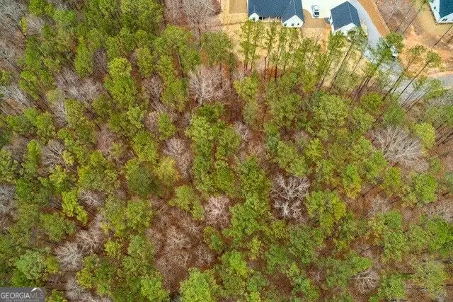 4243 Harmony Grove Church Road, Dallas, GA 30132 - #3