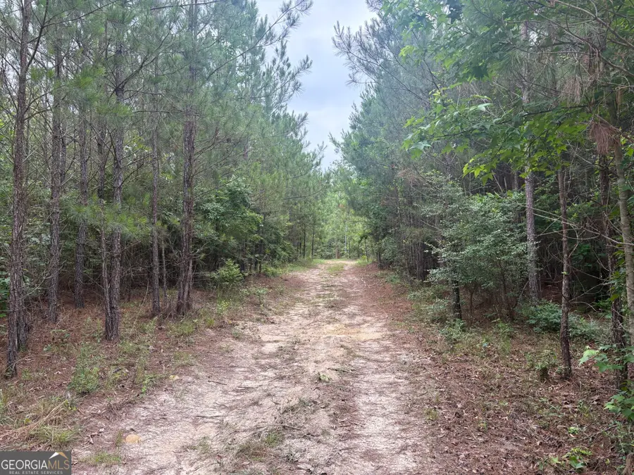 L11 N Indian Trail Road, Sandersville, GA 31082 - #3