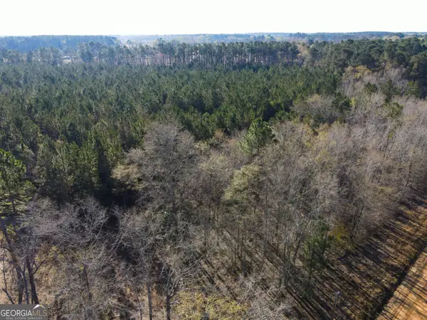 0 Clifton Road, Statesboro, GA 30458