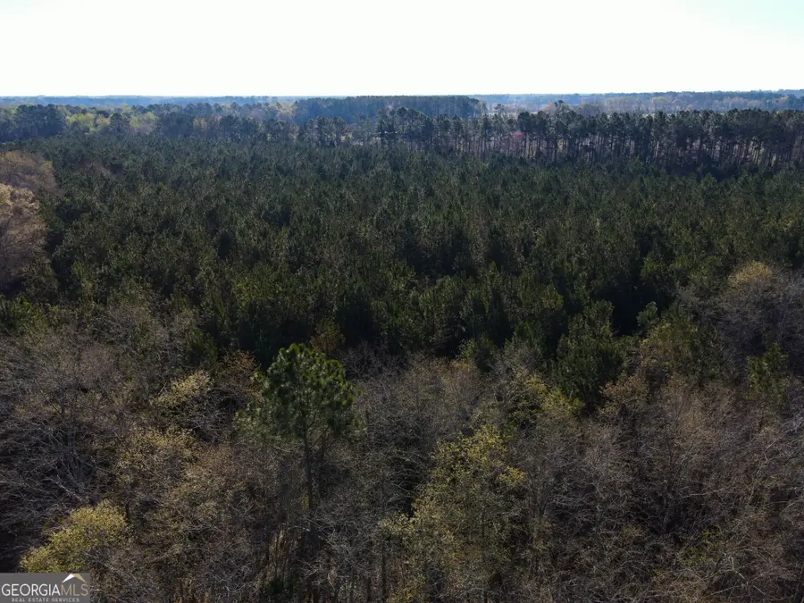 0 Clifton Road, Statesboro, GA 30458 - #2