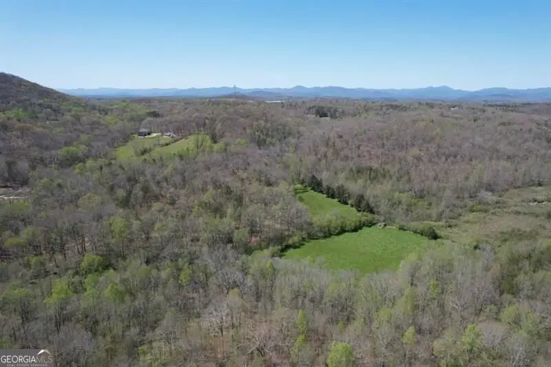 0 Post White Hill Road, Murrayville, GA 30564 - #3