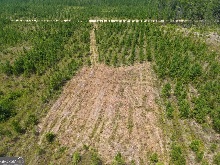 TRACT 5 Owens Ferry Rd, White Oak, GA 31568 - #2