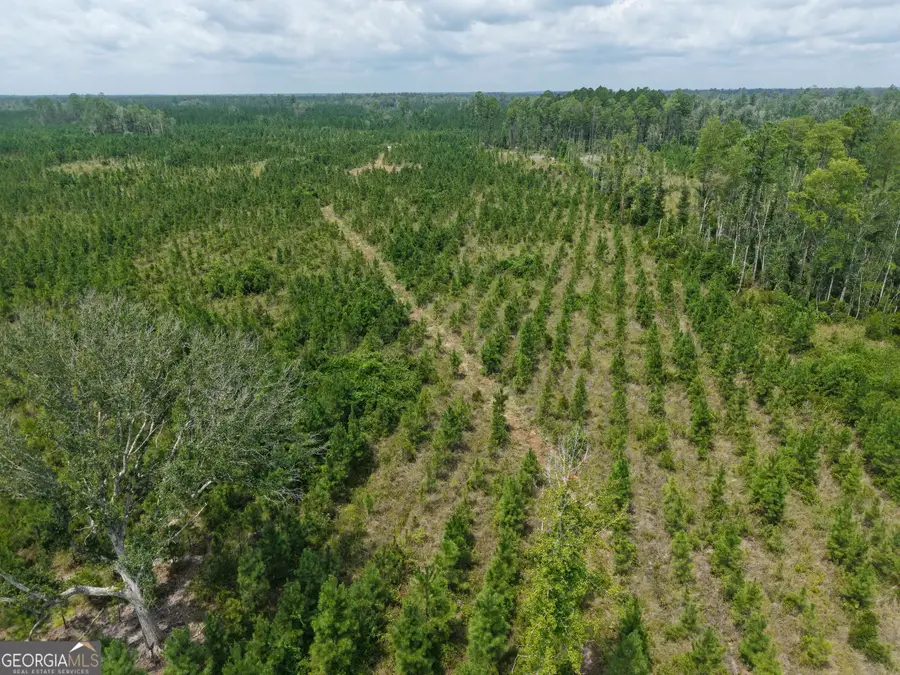TRACT 5 Owens Ferry Rd, White Oak, GA 31568 - #3
