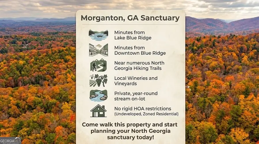5 Goldmine Road, Morganton, GA 30560 - #3